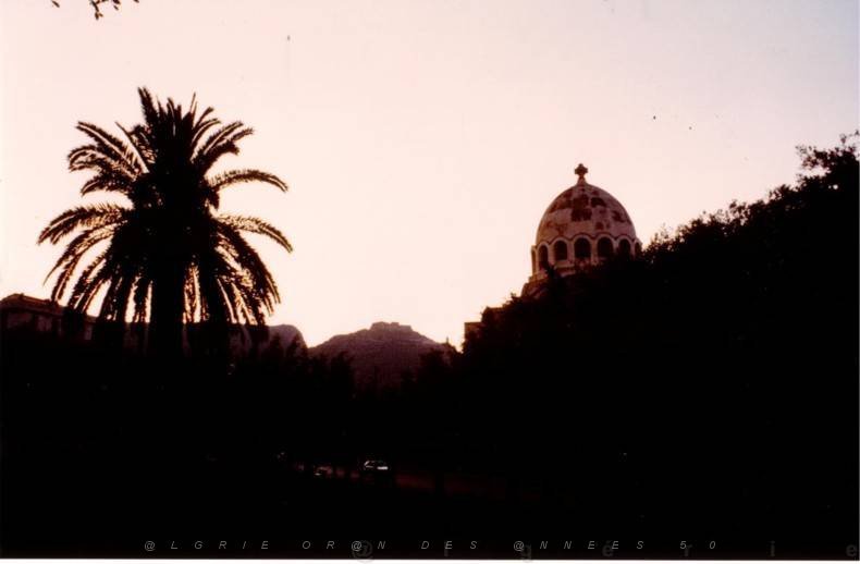 854  1988 CATHEDRALE ET PALMIER.jpg